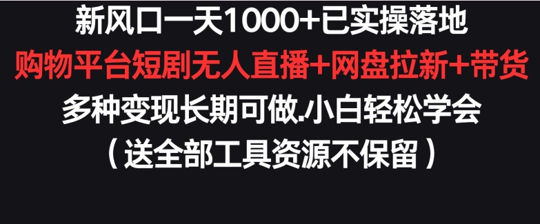 新风口一天1000+已实操落地购物平台短剧无人直播+网盘拉新+带货多种变现长期可做【揭秘】-副业资源站