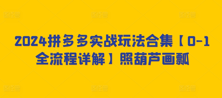 2024拼多多实战玩法合集【0-1全流程详解】照葫芦画瓢-副业资源站