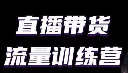 直播带货流量训练营，小白主播必学直播课-副业资源站