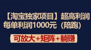 【淘宝独家项目】超高利润:每单利润1000元【揭秘】-副业资源站