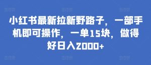 小红书最新拉新野路子，一部手机即可操作，一单15块，做得好日入2000+【揭秘】-副业资源站