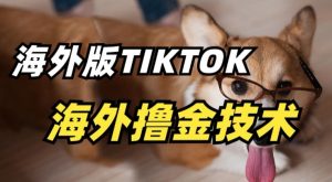 抖音海外版tiktok撸金技术，这个风口行业，赚钱真的不难【揭秘】-副业资源站