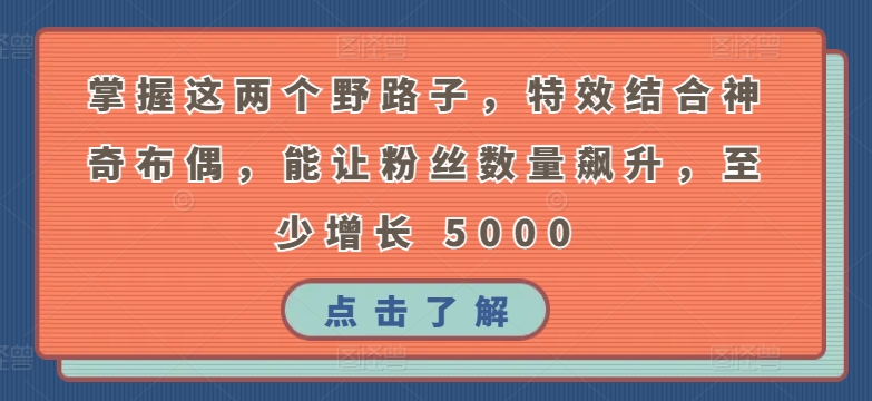 掌握这两个野路子，特效结合神奇布偶，能让粉丝数量飙升，至少增长 5000【揭秘】-副业资源站