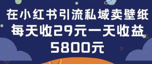 在小红书引流私域卖壁纸每张29元单日最高卖出200张(0-1搭建教程)【揭秘】-副业资源站