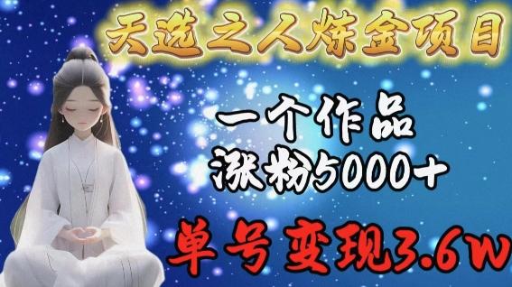 天选之人炼金项目，一个作品涨粉5000+，单号变现3.6w【揭秘】-副业资源站