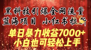 蓝海项目!黑科技引爆全网流量小红书拉新，单日暴力收益7000+，小白也能轻松上手【揭秘】-副业资源站