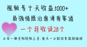 十天收益5000+，多平台捞金，视频号情感治愈漫剪，一个月收徒28个，小白一部手机轻松上手【揭秘】-副业资源站