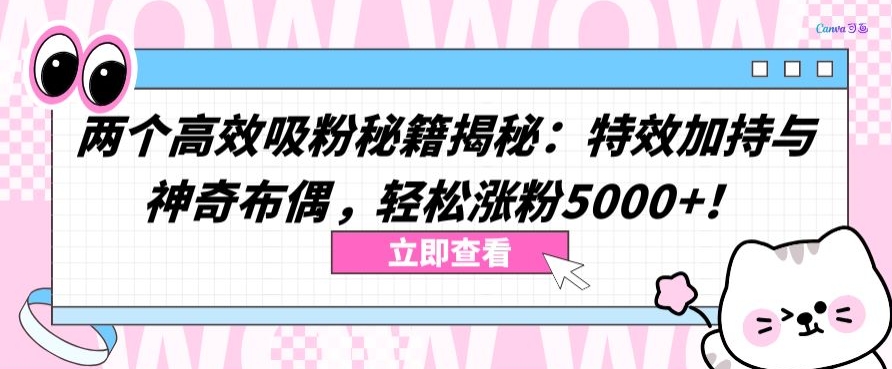 两个高效吸粉秘籍揭秘：特效加持与神奇布偶，轻松涨粉5000+【揭秘】-副业资源站