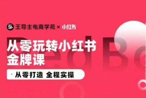 王导主·小红书电商运营实操课，​从零打造  全程实操-副业资源站