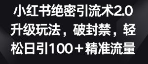 小红书绝密引流术2.0升级玩法，破封禁，轻松日引100+精准流量【揭秘】-副业资源站