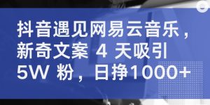 抖音遇见网易云音乐，新奇文案 4 天吸引 5W 粉，日挣1000+【揭秘】-副业资源站