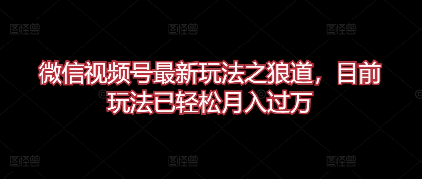 微信视频号最新玩法之狼道，目前玩法已轻松月入过万【揭秘】-副业资源站