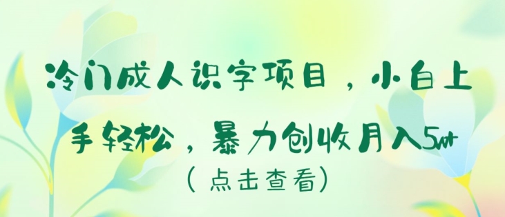 冷门成人识字项目，小白上手轻松，暴力创收月入5w+【揭秘】-副业资源站