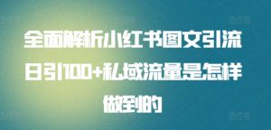 全面解析小红书图文引流日引100+私域流量是怎样做到的【揭秘】-副业资源站