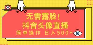 无需露脸，Ai头像直播项目，简单操作日入500+【揭秘】-副业资源站