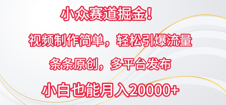 小众赛道掘金，视频制作简单，轻松引爆流量，条条原创，多平台发布【揭秘】-副业资源站