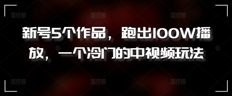 新号5个作品，跑出100W播放，一个冷门的中视频玩法【揭秘】-副业资源站