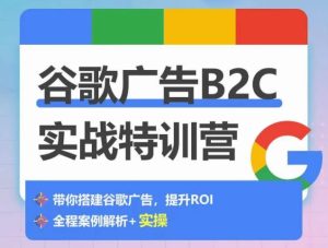 谷歌广告B2C实战特训营，500+谷歌账户总结经验，实战演示如何从0-1搭建广告账户-副业资源站