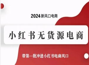 2024新风口电商，小红书无货源电商，带第一批冲进小红书电商风口-副业资源站