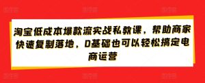 淘宝低成本爆款流实战私教课，帮助商家快速复制落地，0基础也可以轻松搞定电商运营-副业资源站