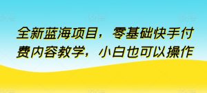 全新蓝海项目，零基础快手付费内容教学，小白也可以操作【揭秘】-副业资源站