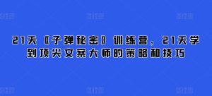 21天《子弹秘密》训练营，21天学到顶尖文案大师的策略和技巧-副业资源站