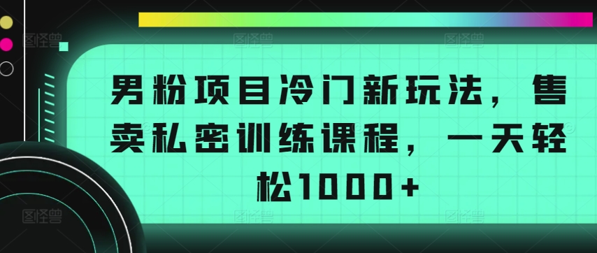 男粉项目冷门新玩法，售卖私密训练课程，一天轻松1000+【揭秘】-副业资源站