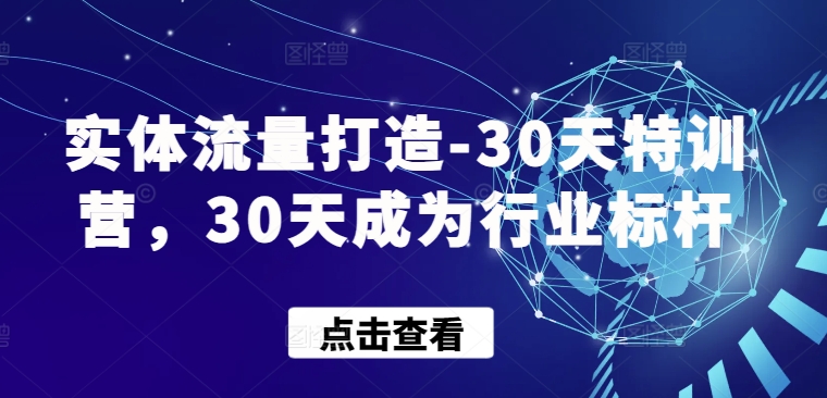 实体流量打造-30天特训营，30天成为行业标杆-副业资源站