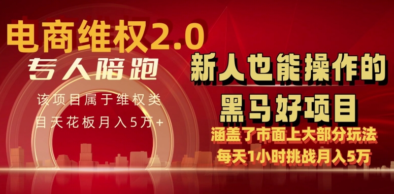 电商维权 4.0 如何做到月入 5 万+每天 1 小时新人也能快速上手【仅揭秘】-副业资源站