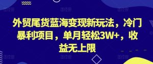 外贸尾货蓝海变现新玩法,冷门暴利项目,单月轻松3W+,收益无上限【揭秘】-副业资源站
