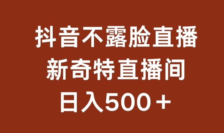 不露脸挂机直播，新奇特直播间，日入500+【揭秘】-副业资源站