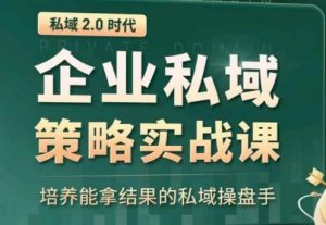 私域2.0：企业私域策略实战课，培养能拿结果的私域操盘手-副业资源站
