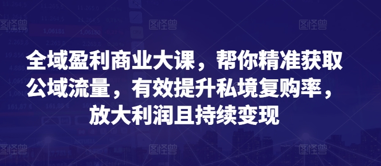 全域盈利商业大课，帮你精准获取公域流量，有效提升私境复购率，放大利润且持续变现-副业资源站