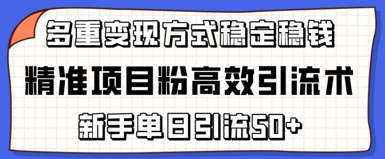 精准项目粉高效引流术，新手单日引流50+，多重变现方式稳定赚钱【揭秘】-副业资源站