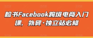 脸书Facebook跨境电商入门课，外贸·独立站必修-副业资源站