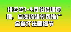 拼多多1-4月份培训课程，自然流强付费推广全套打法和细节-副业资源站