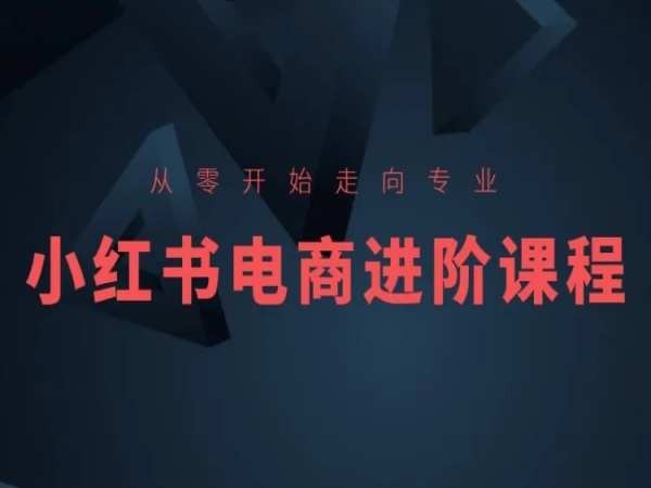 从零开始走向专业，小红书电商进阶课程-副业资源站