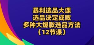 暴利选品大课:选品决定成败,教你多种大爆款选品方法(12节课)-副业资源站