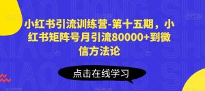 小红书引流训练营-第十五期，小红书矩阵号月引流80000+到微信方法论-副业资源站