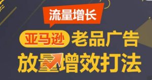 亚马逊流量增长-老品广告放量增效打法，循序渐进，打造更多TOP listing​-副业资源站