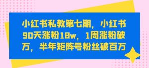 小红书私教第七期，小红书90天涨粉18w，1周涨粉破万，半年矩阵号粉丝破百万-副业资源站