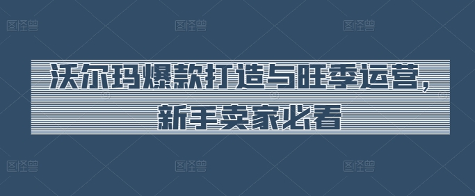 沃尔玛爆款打造与旺季运营，新手卖家必看-副业资源站