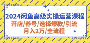 2024闲鱼高级实操运营课程：开店/养号/选择爆款/引流/月入2万/全流程-副业资源站