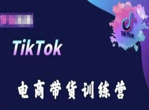 TikTok电商带货训练营，跟随时代潮流，跨境掘金-副业资源站