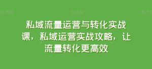 私域流量运营与转化实战课，私域运营实战攻略，让流量转化更高效-副业资源站