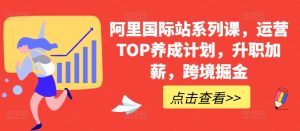阿里国际站系列课,运营TOP养成计划,升职加薪,跨境掘金-副业资源站