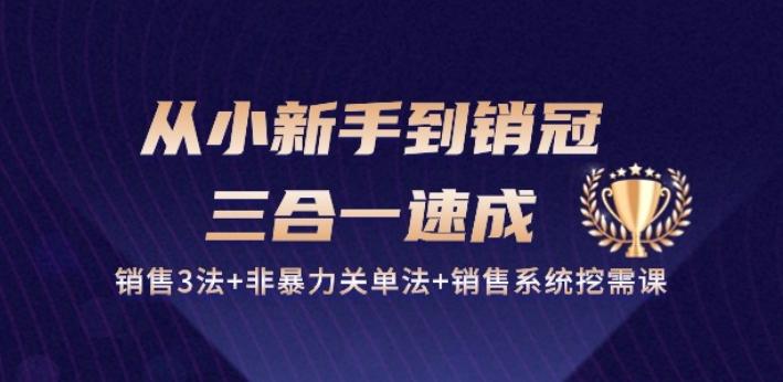 从小新手到销冠 三合一速成：销售3法+非暴力关单法+销售系统挖需课 (27节)-副业资源站