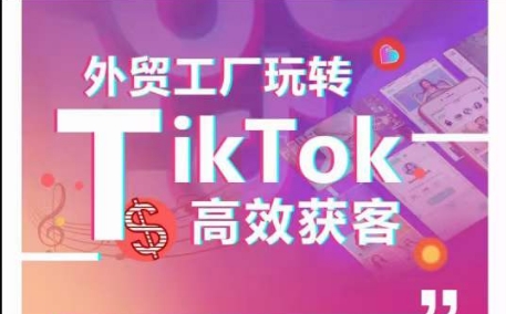 外贸工厂玩转TikTok高效获客，多种引流方式与账号定位技巧，拆解爆款短视频打造成功案例-副业资源站