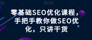 零基础SEO优化课程,手把手教你做SEO优化,只讲干货-副业资源站