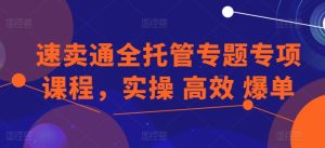 速卖通全托管专题专项课程,实操 高效 爆单-副业资源站